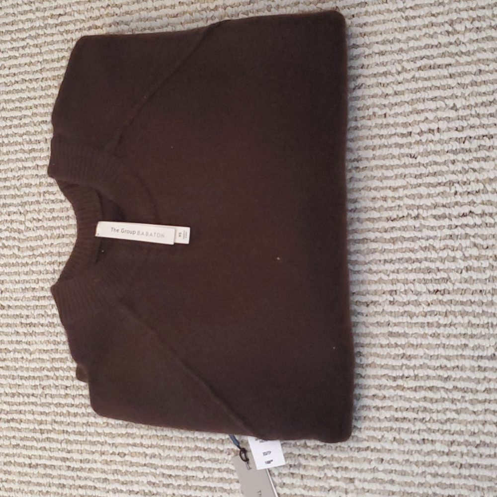 Aritzia Babaton cashmere crewneck